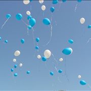 Picture Of White And Blue Balloons